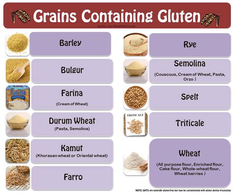 does barley flour have gluten.